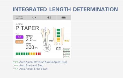 apex locator